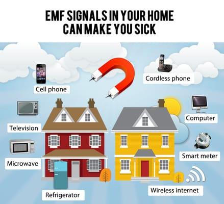 Electromagnetic Sensitivity