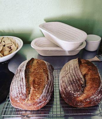 Classic Sourdough Country Loaves made with milled organic hard red wheat (and some herbed sourdough crackers in the background)