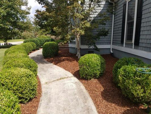 Mulch Install Wilmington NC