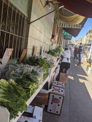 Jackson vegetable shelves