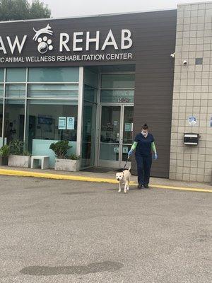 Paw Rehab