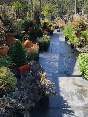 A Bloom Garden Center Fall 2018