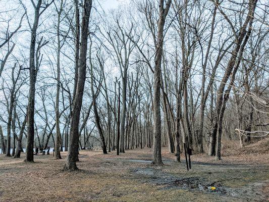 On the C&O Canal Towpath