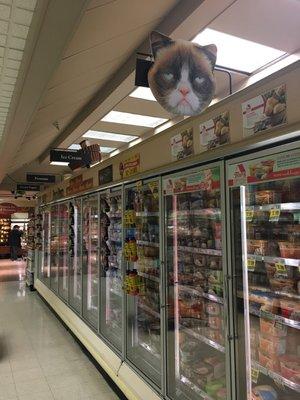 Not sure why Grumpy Cat is hanging in the ice cream aisle. I looked all around and didn't see any Grumpy Cat ice cream!