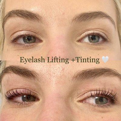 Eyelash Lifting + Tinting