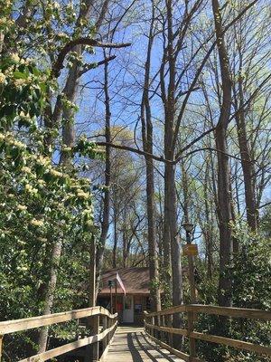 Lower ramp, also handicap accessible.  Showing off spring green tree foliage.