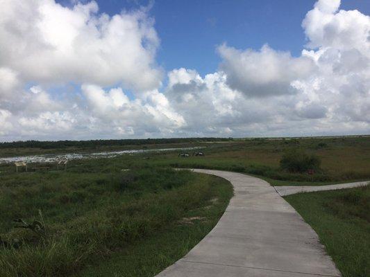 Risen path around the battlefield. Watch for snakes on the side bushes.