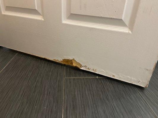 Brittle bathroom door from water