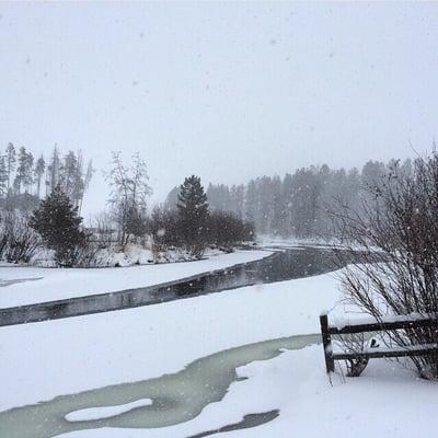 Our view from our cabin, River Run!