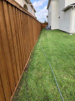 Fence made with Cedar wood