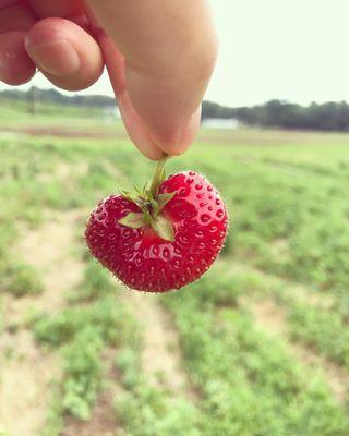 Graver's Orchards