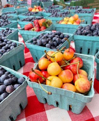 H&A Family Farm's cherries and blueberries