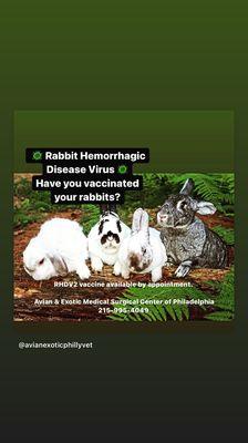 We offer RHDV2 vaccinations for your rabbits during wellness exams.