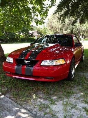 2000 Mustang GT Front view after complete paint job and new custom cowl inducted hood installation.