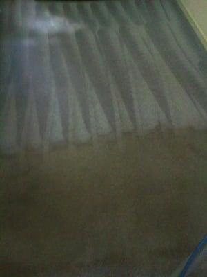 Canoga Park Carpet and Tile cleaning