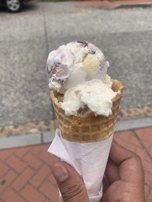 One scoop of blueberry cheesecake and banana pudding.