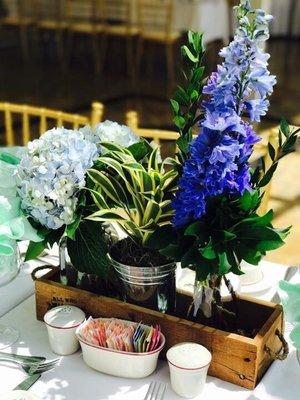 Rustic/nature baby shower