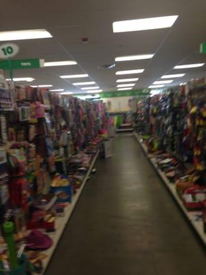 North Easton Dollar Tree -- RK Center: 20 Roche Bros Way, N Easton               Interior