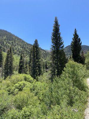 4 hour trail to Middle Fork Lake. Our guide Clara was a very good conversationalist and made the whole experience even more fascinating