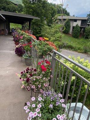 These photos are of the deck area and the view from the outdoor seating.