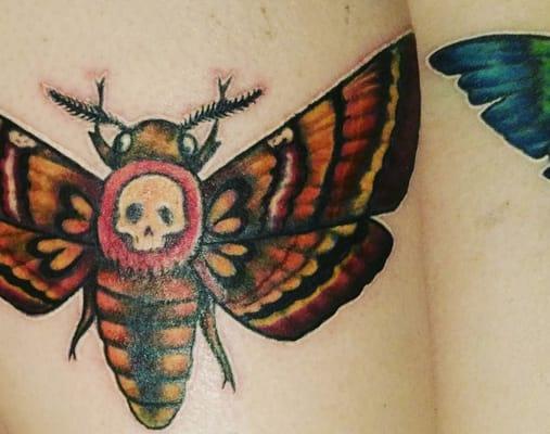 Death Head Moth 2 on Lissa Morticia by Pinky Rae