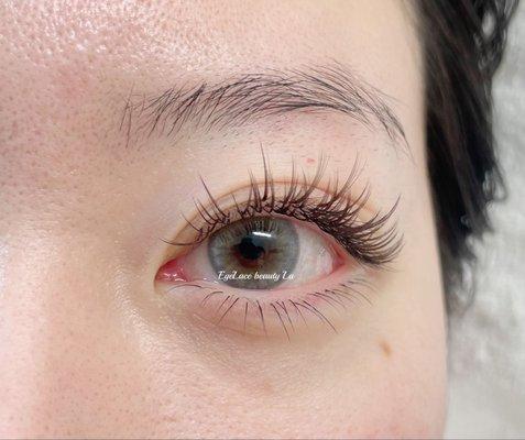 Customized (sunflower)+lower lash extension