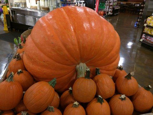 The Giant Pumpkin