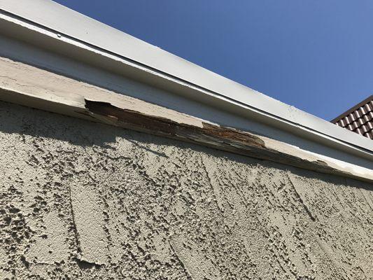 Fascia Board Repair