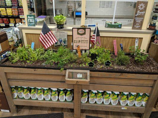 Clip your own herbs!