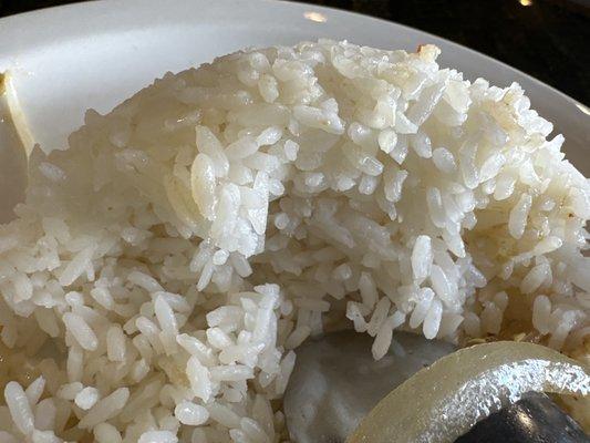 Rice served with Pad Woon-Sen.