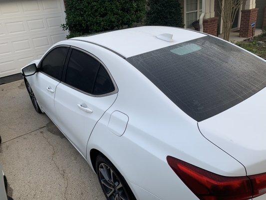 20% tints. Thank you Mr. Harris