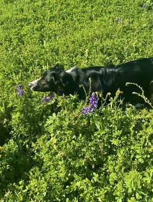 Stop and smell the flowers.