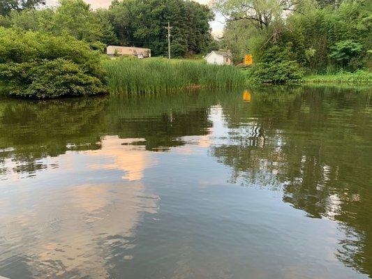 Stocked pond.