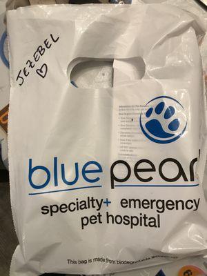 This is the prescription bag my cat came home with. A little heart made me feel like she was loved during her stay there... Thank you, Blue