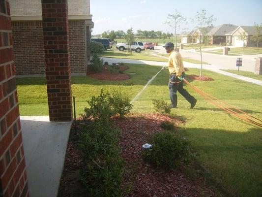 Certified Applicator  spraying the outside perimeter of a home.