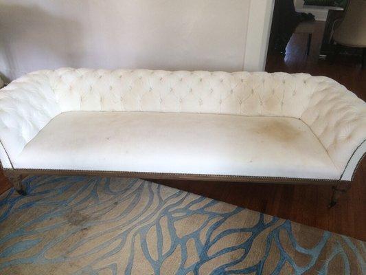 White velvet couch before we cleaned on 1-8-17