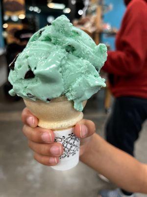 Chocolate mint ice cream