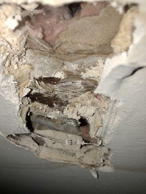 Close up of the hole left in my ceiling for months. Rent fully demanded, rent fully paid.