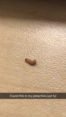 Worm found in my pistachios