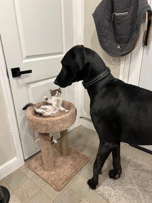 Meeting my big brother