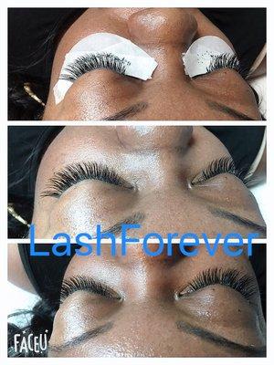 LashForever individual eyelash extension