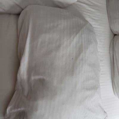 Some sort of ink stain on pillow