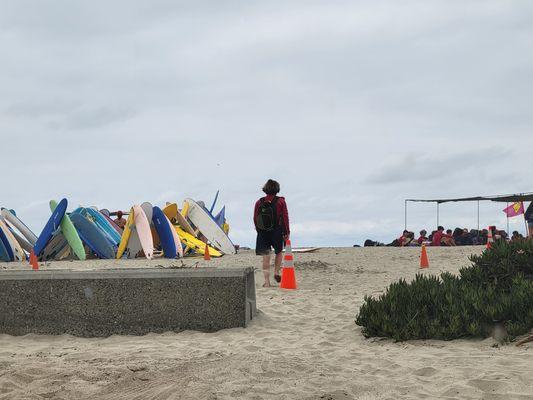 Plenty of Surfboards for Fun in the Sun!