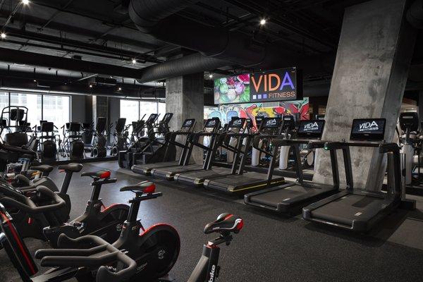 State-of-the-art cardio equipment with social distancing.