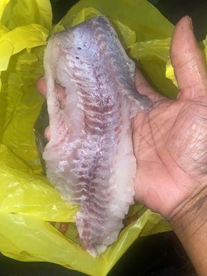 Filleted catfish. That I can not sell to my customers.