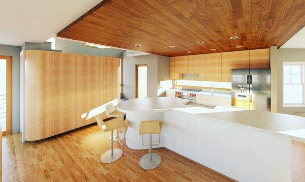 Kitchen concept rendering