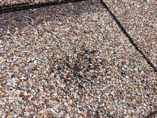 Hail damaged roof in Liberty, MO