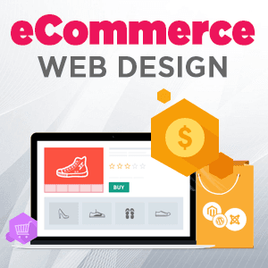 Shopify Ecommerce Web Design Dallas Texas