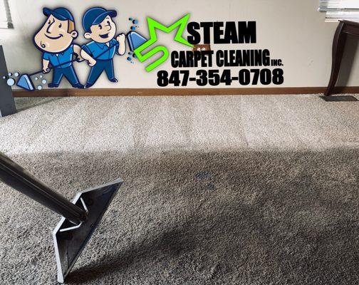 steam carpet cleaning