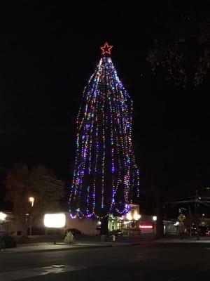 Christmas tree at the hospital